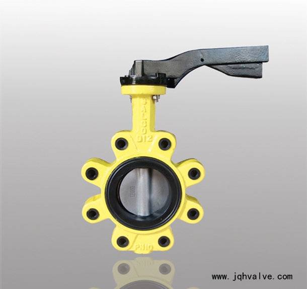 Lug concentric butterfly valve