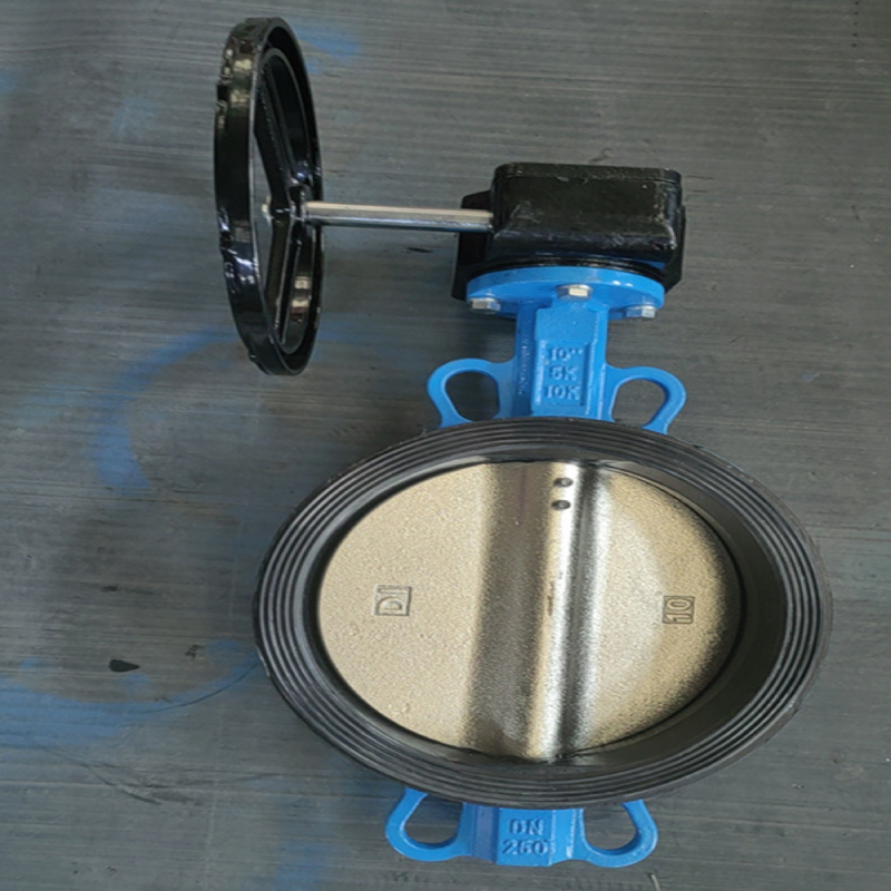 Exploring the Diverse World of Gate Valves