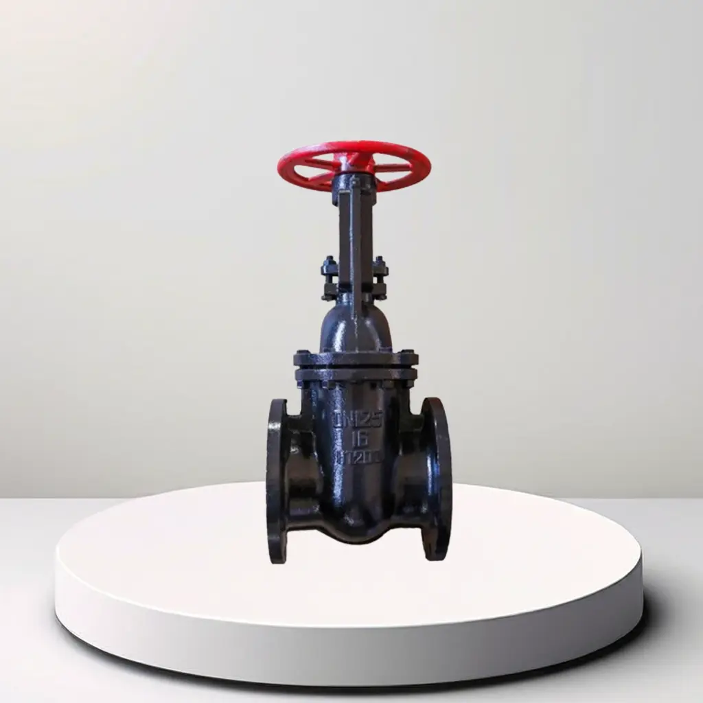 T50 F110 Series Stainless Steel Gate Valve 1