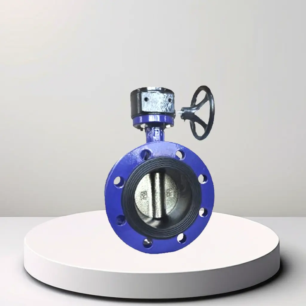 T50 F110 Series Stainless Steel Gate Valve 1