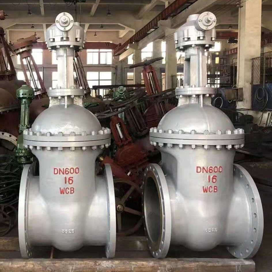 Exploring the Diverse World of Gate Valves