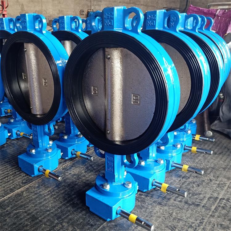 Exploring the Diverse World of Gate Valves