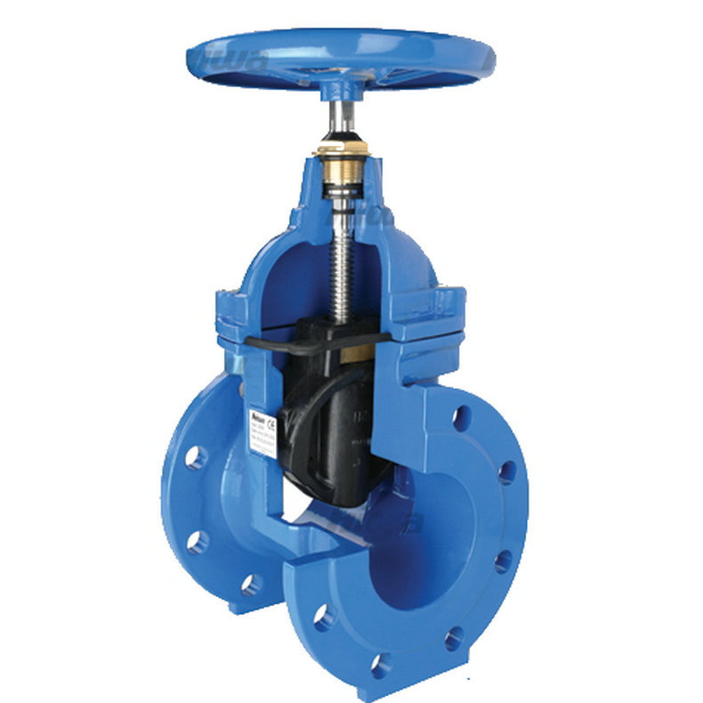 Exploring the Diverse World of Gate Valves