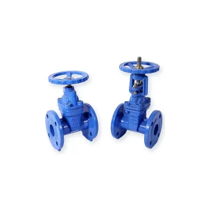 Válvula de compuerta de asiento elástico (NRS) | JQH Valve