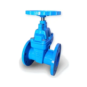 Válvula de compuerta de asiento elástico (NRS) | JQH Valve
